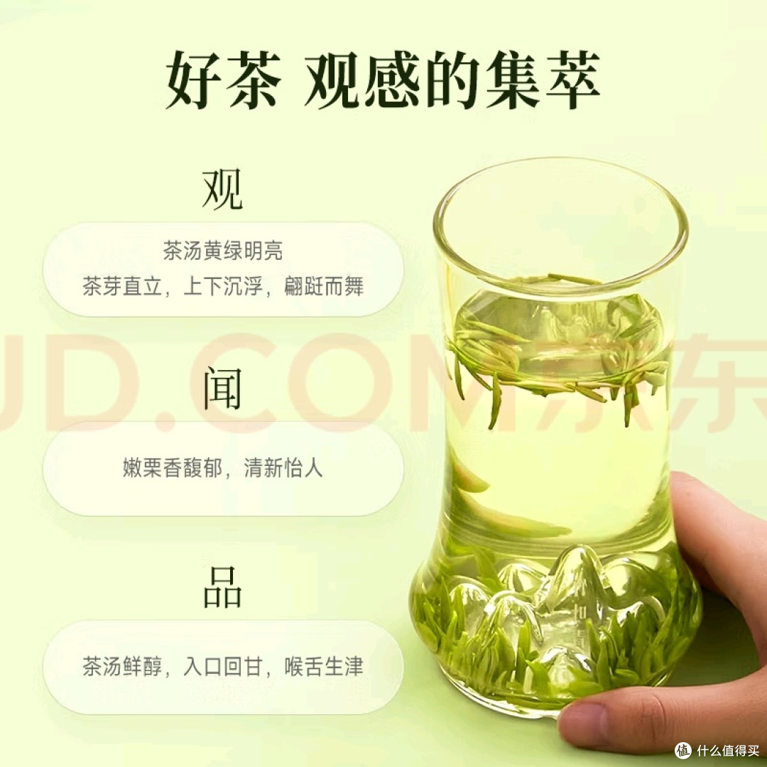 竹叶青绿茶:高端茶饮体验