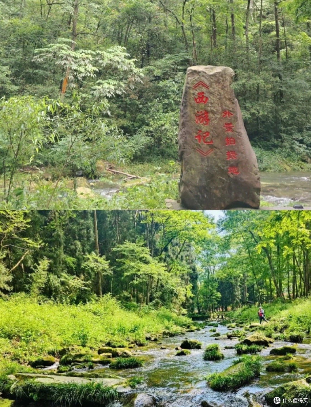 4-5月要来张家界，真行觉得不错！