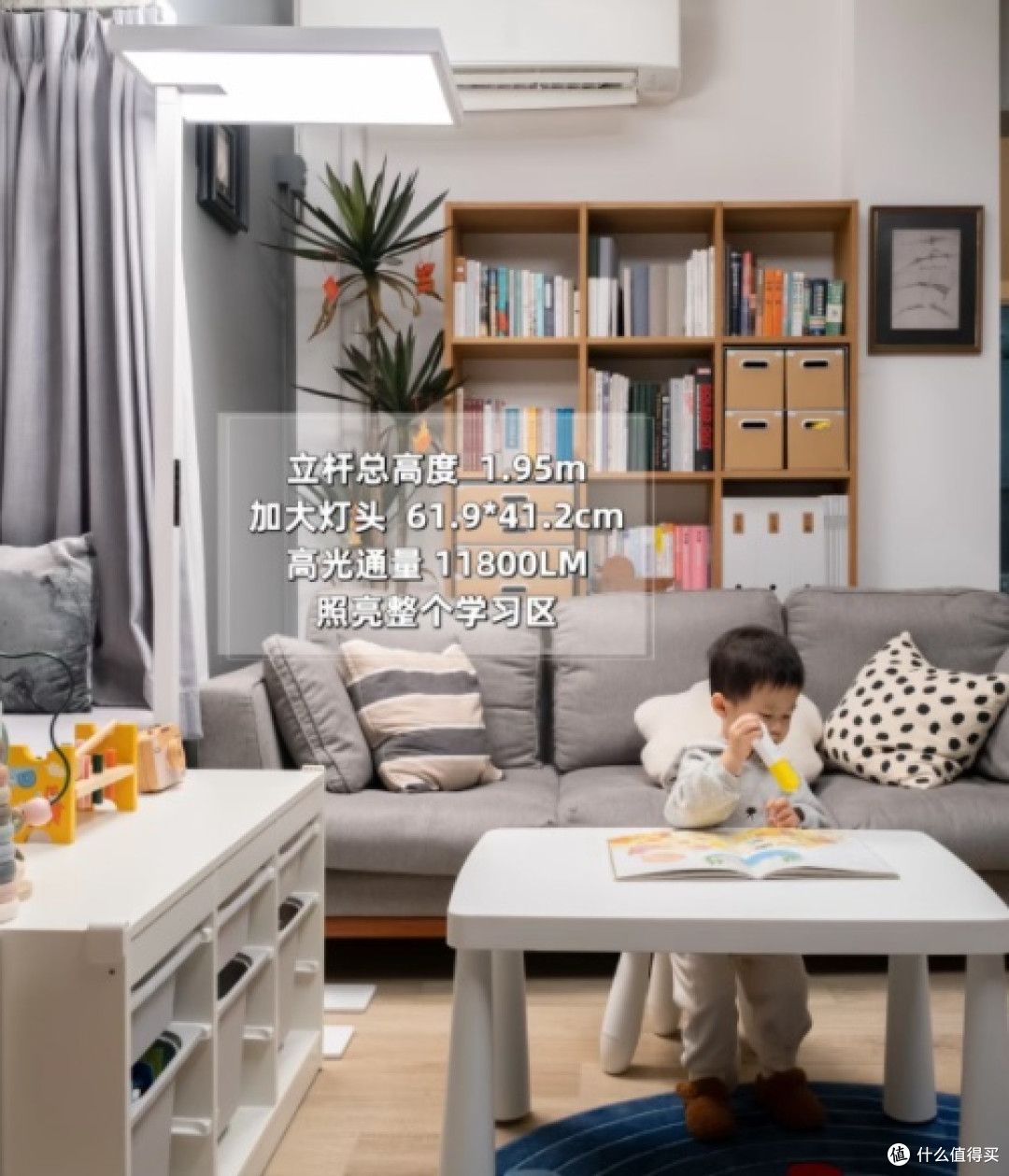 国货之光护眼真的强,月影大路灯带我科学用光!
