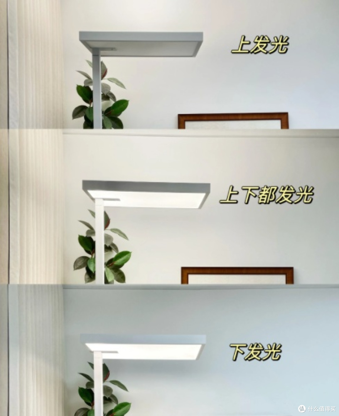 国货之光护眼真的强,月影大路灯带我科学用光!