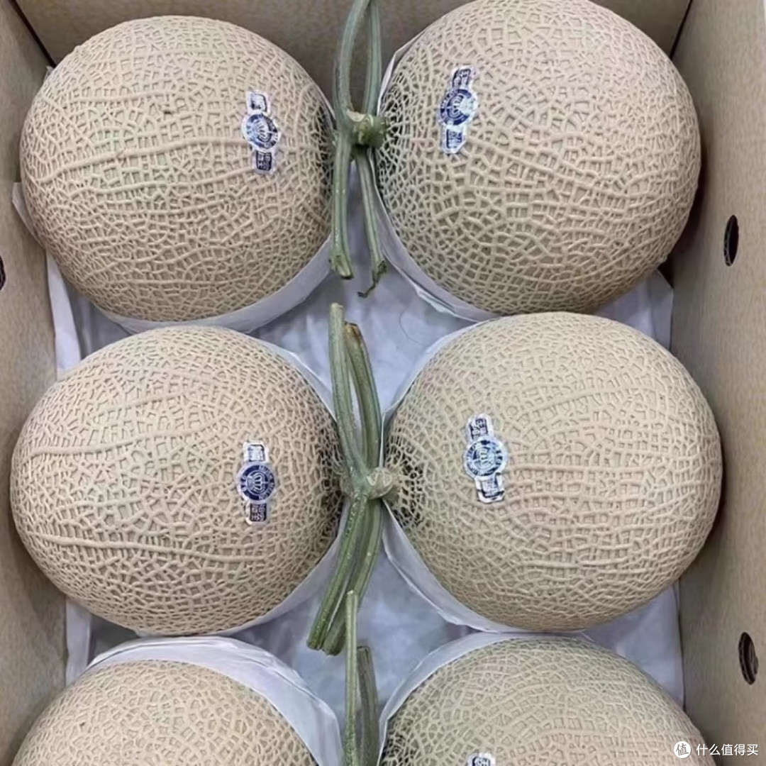 秭归纽荷尔脐橙新鲜直发
