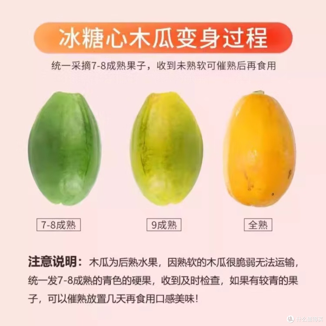 海南树上熟红心木瓜5斤装