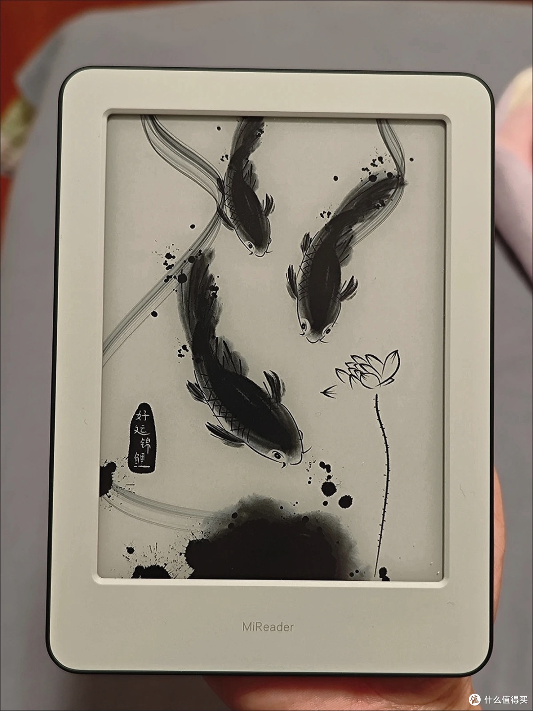 小米多看电纸书，我的第个一个非纸质书阅读器。
