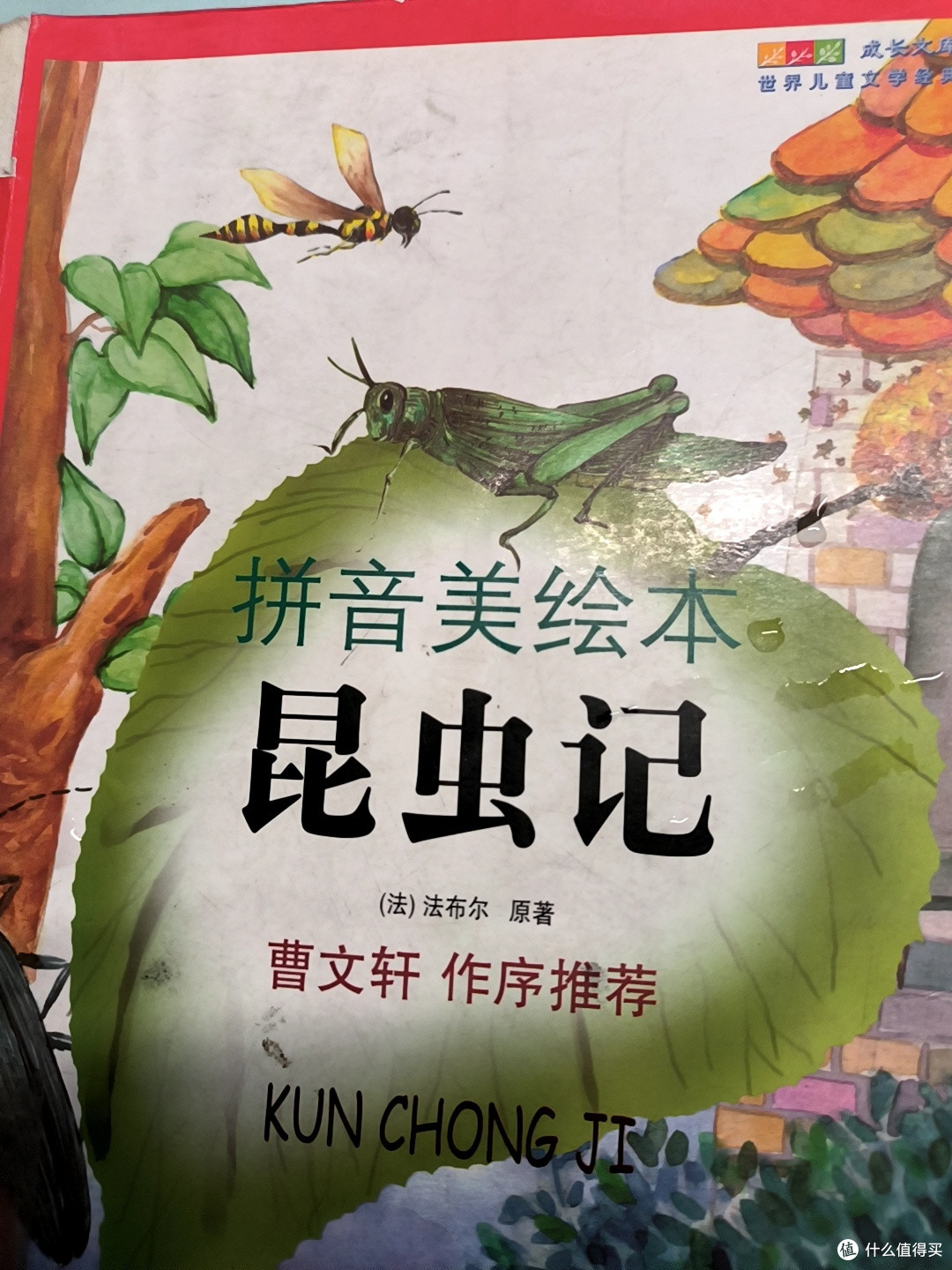 小朋友很喜欢的注音版的绘本之《昆虫记》