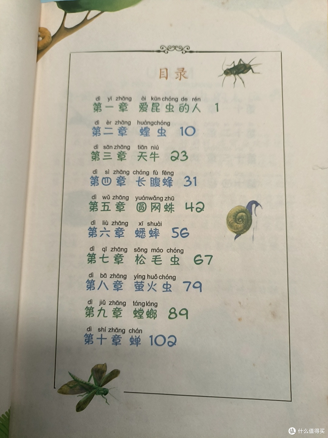 小朋友很喜欢的注音版的绘本之《昆虫记》