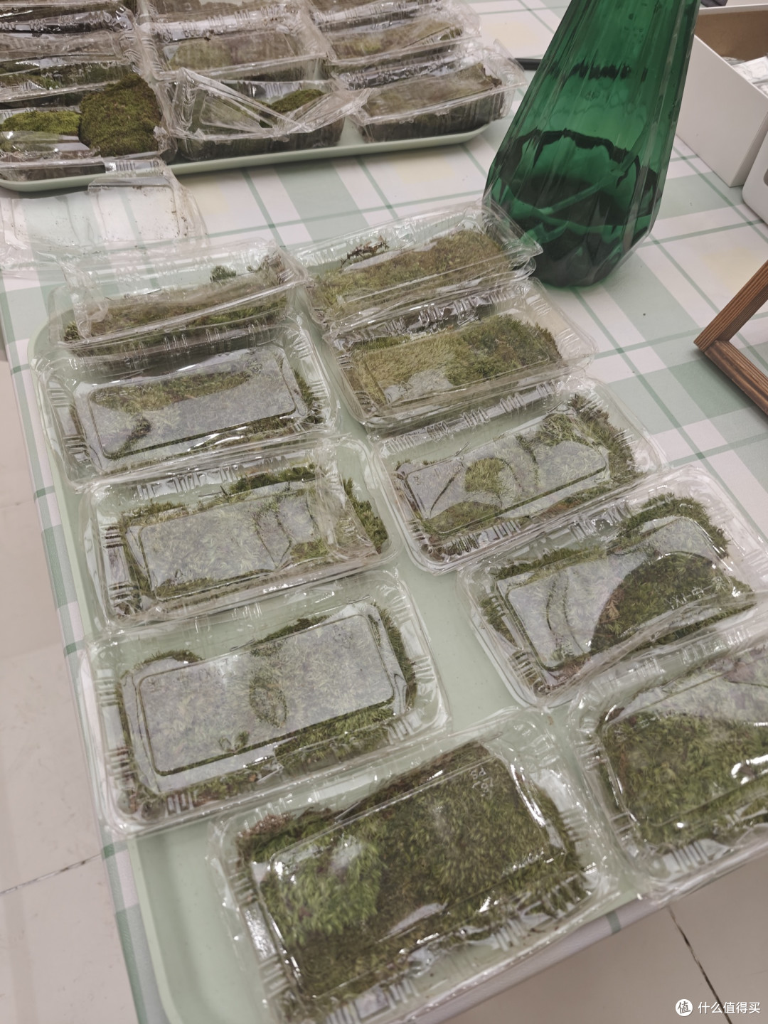给DIY界来点震撼,超解压的微景观手工制作分享!