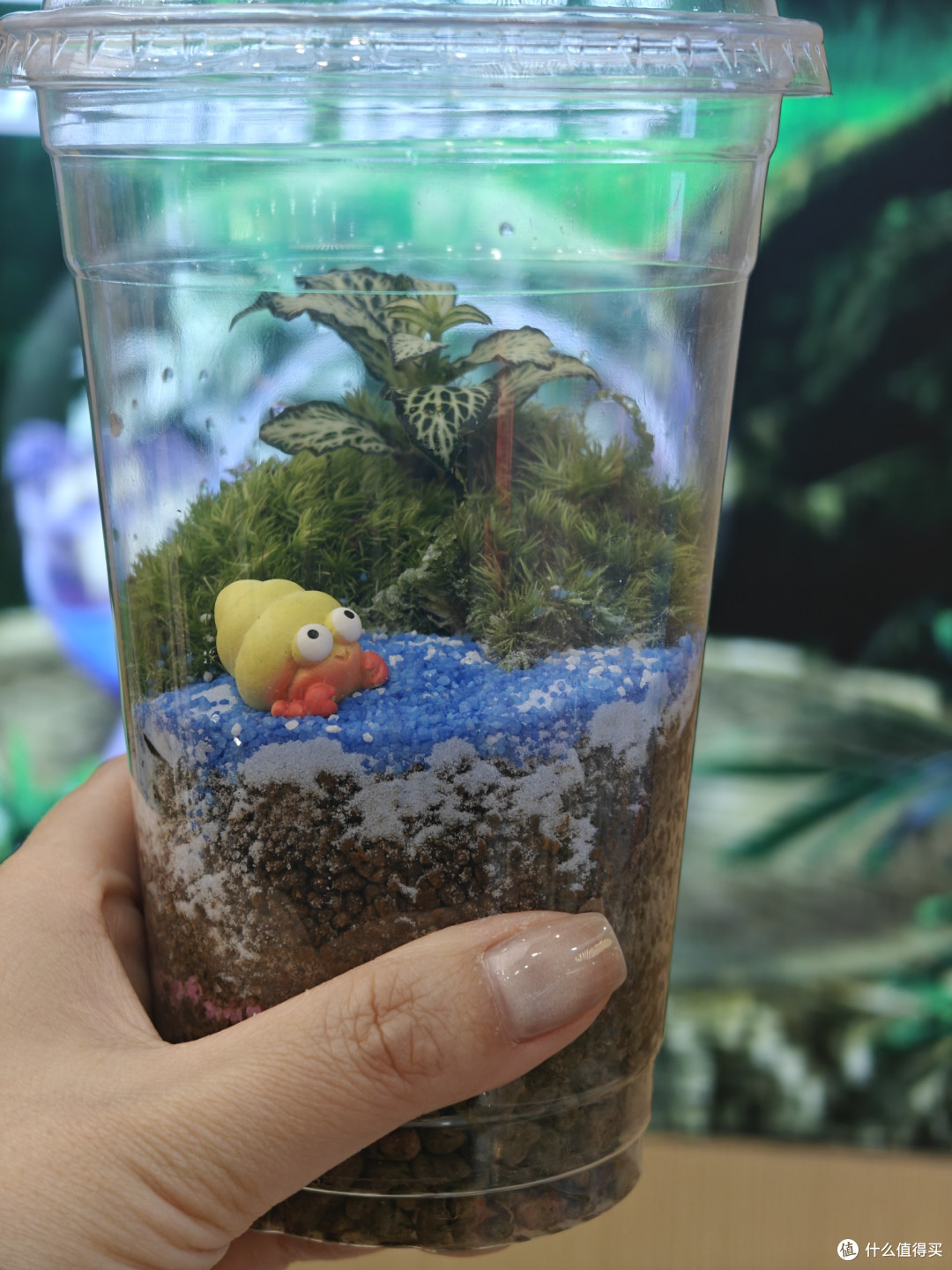 给DIY界来点震撼,超解压的微景观手工制作分享!