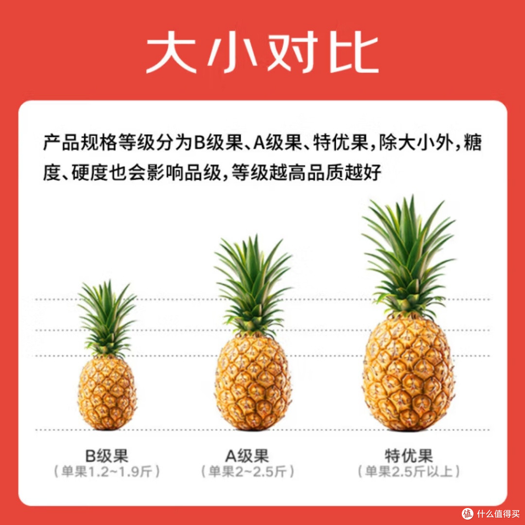 海南金钻凤梨3斤起新鲜直发