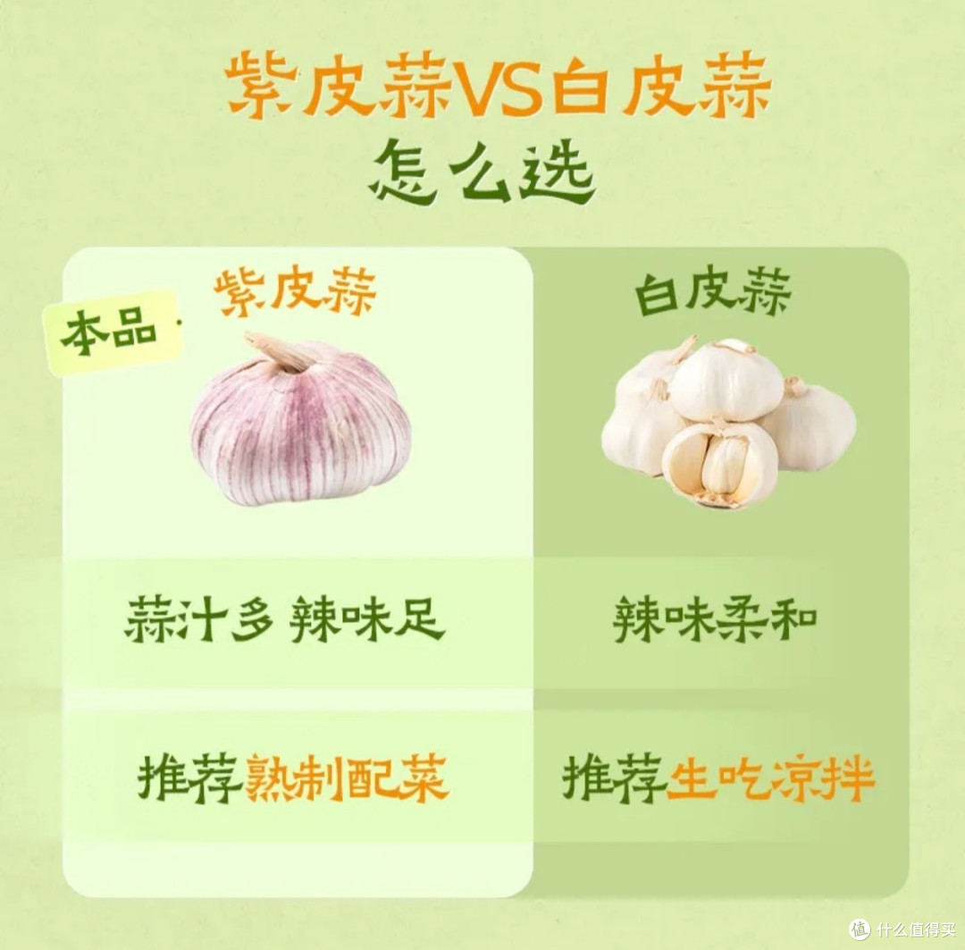快乐收🥬轻松拥有~好养活品种悔没早知道,在家种菜这么简单!