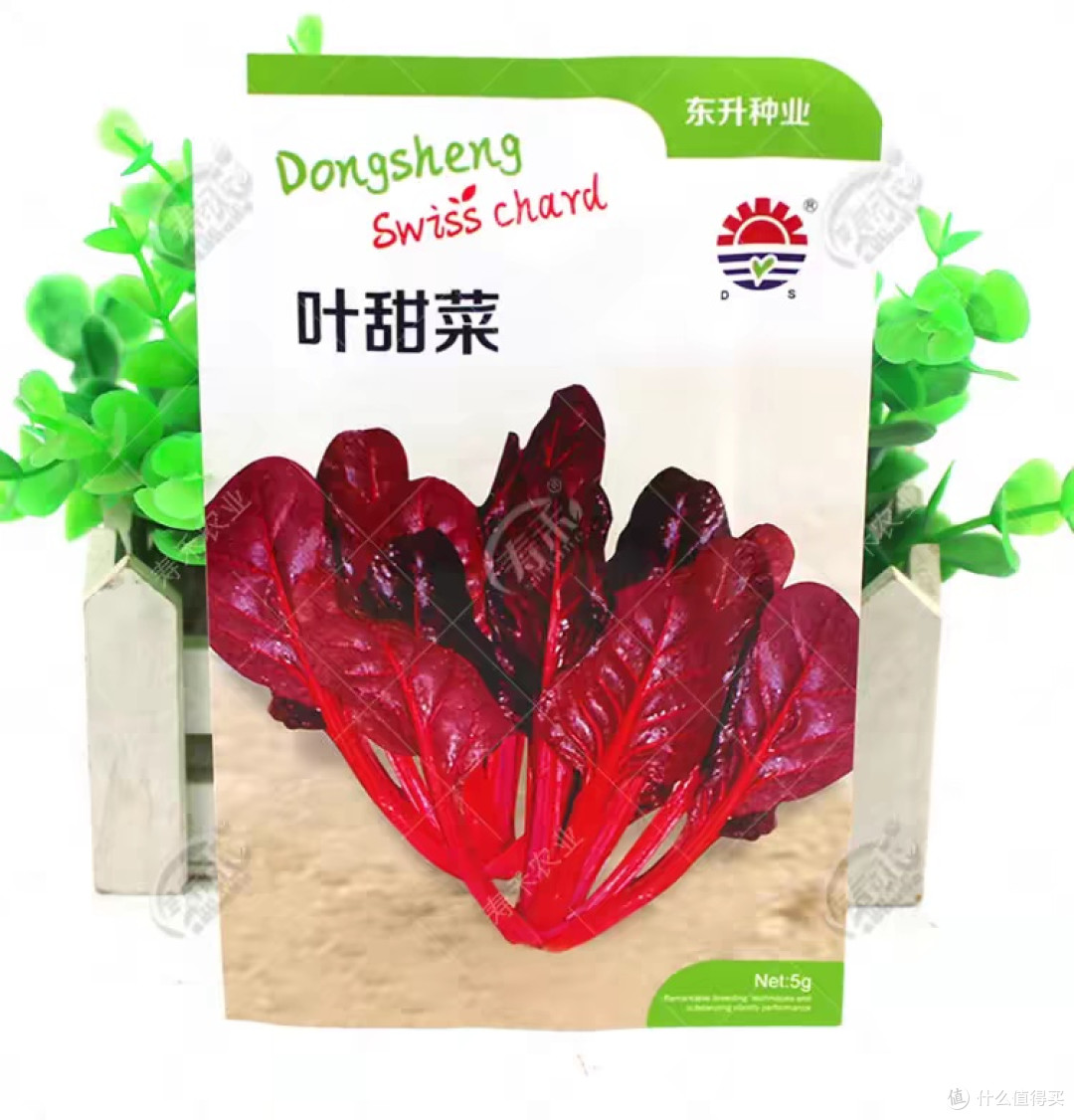 快乐收🥬轻松拥有~好养活品种悔没早知道,在家种菜这么简单!