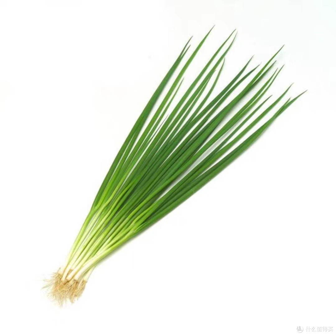 快乐收🥬轻松拥有~好养活品种悔没早知道,在家种菜这么简单!