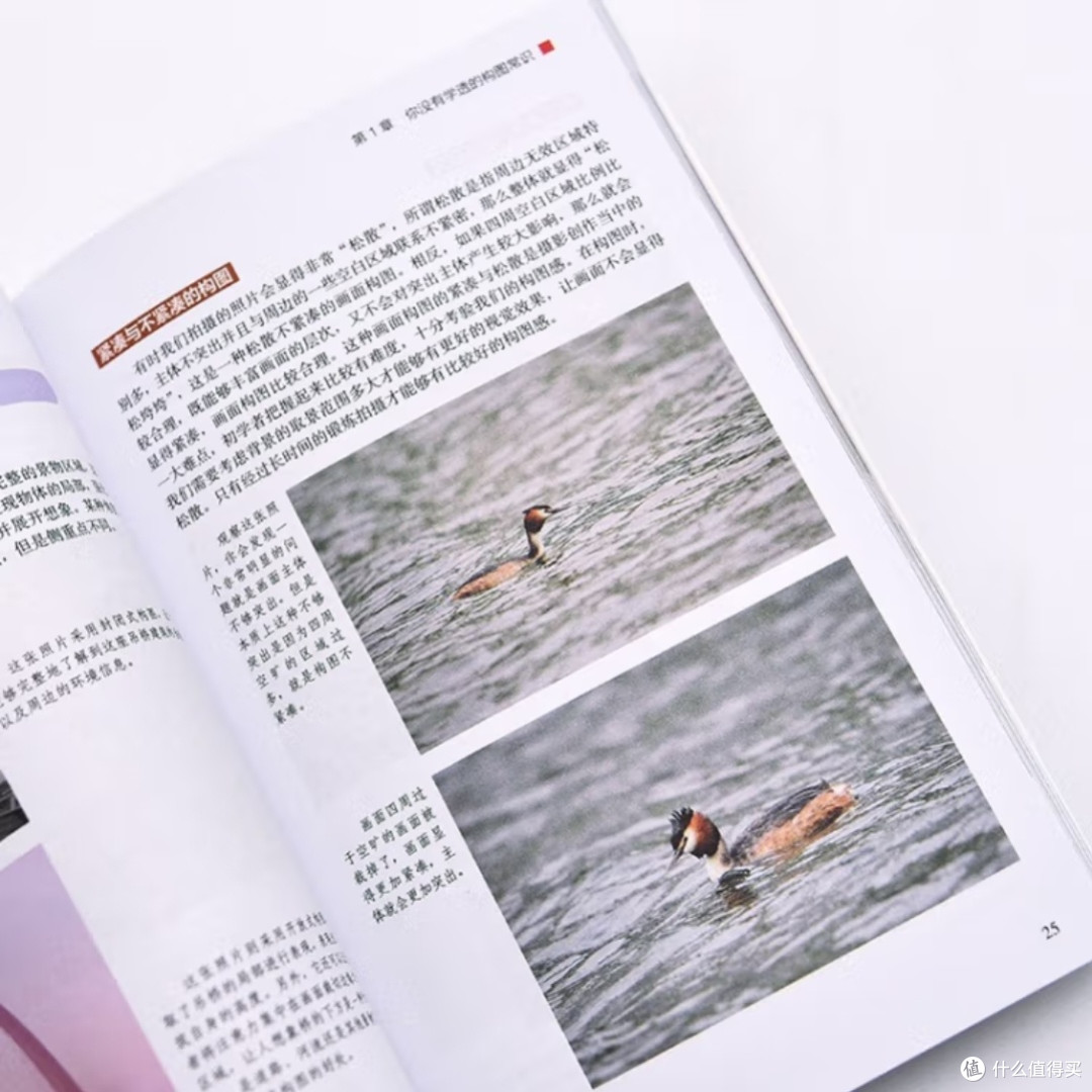 摄影构图入门:基础知识与技巧