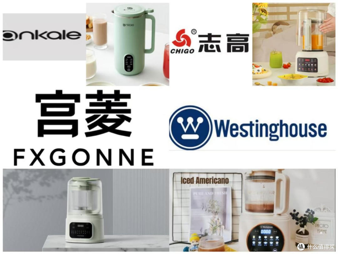 哪种破壁机好?十大排行品牌真实测评大比拼