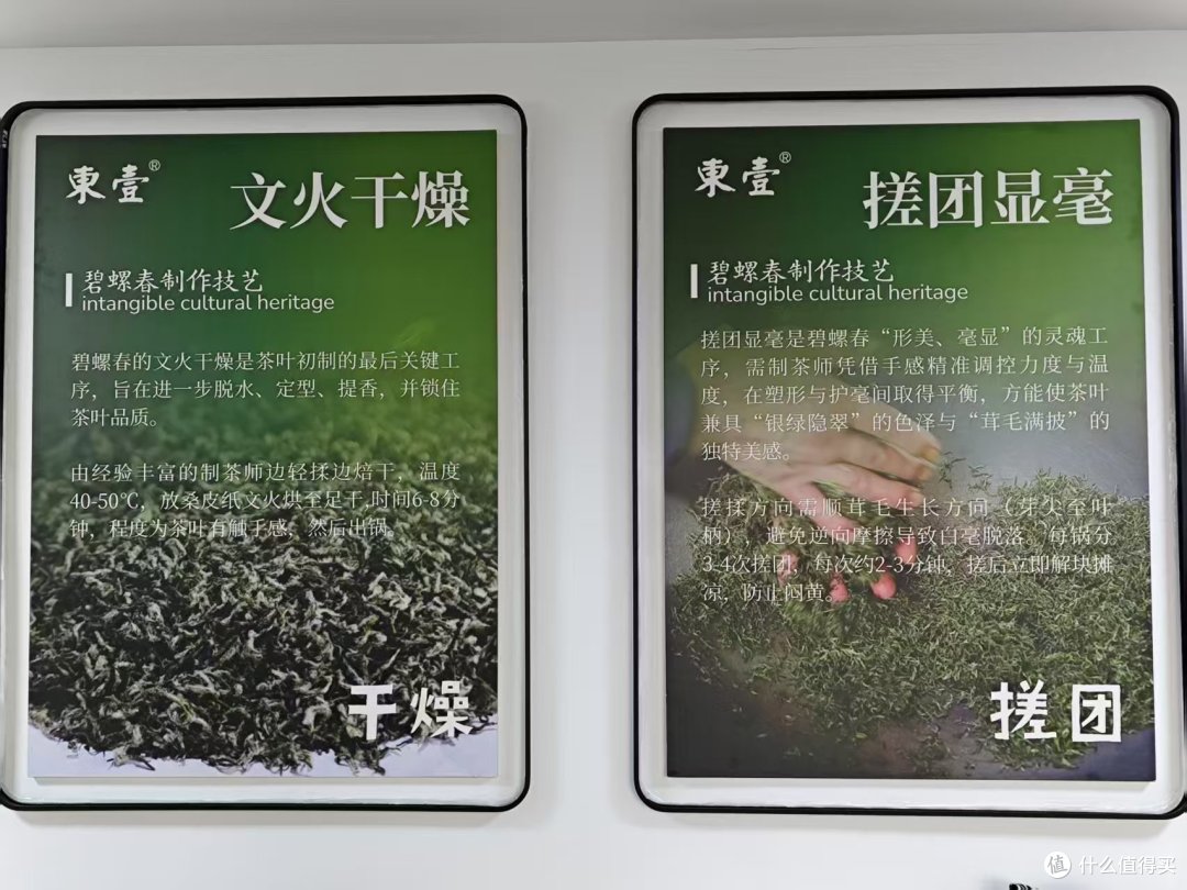 到洞庭山东山岛喝茶;洞庭碧螺春的进一步研究