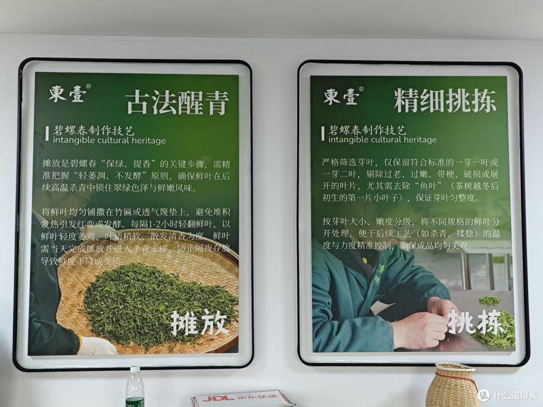 到洞庭山东山岛喝茶;洞庭碧螺春的进一步研究