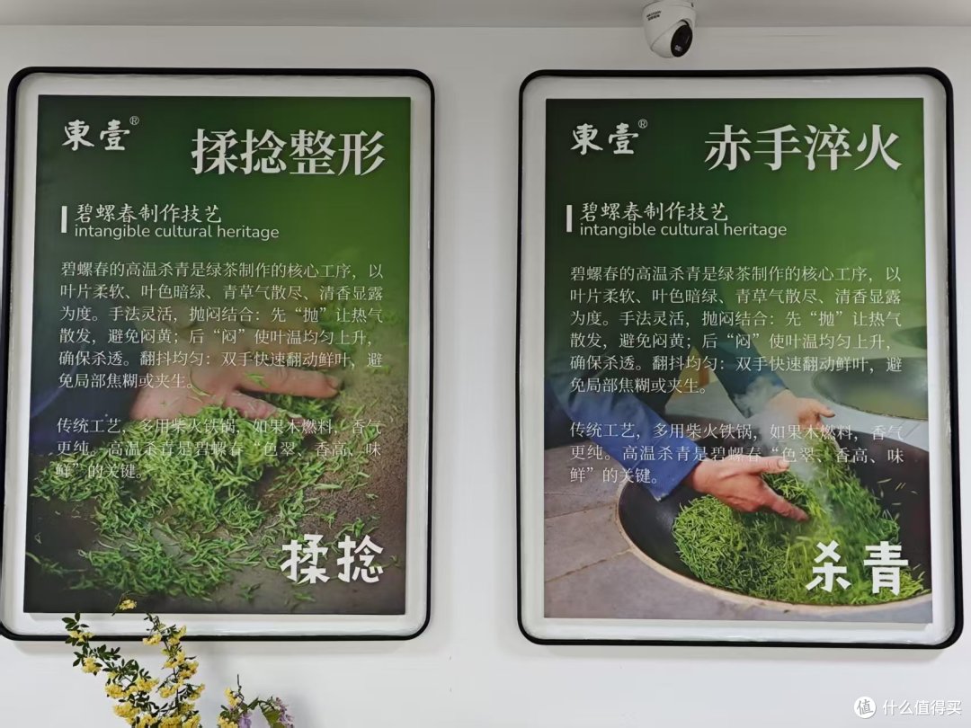 到洞庭山东山岛喝茶;洞庭碧螺春的进一步研究