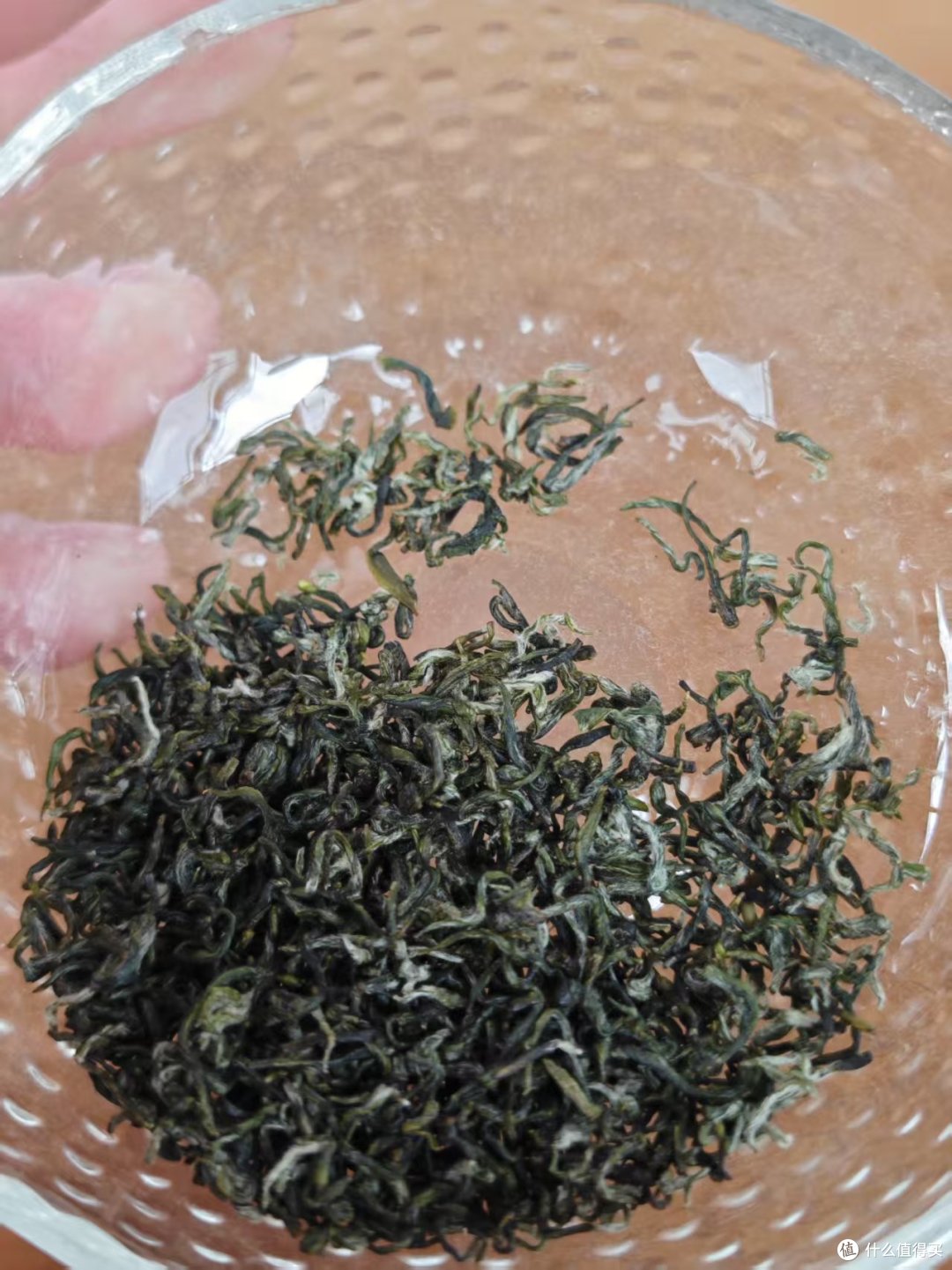 到洞庭山东山岛喝茶;洞庭碧螺春的进一步研究
