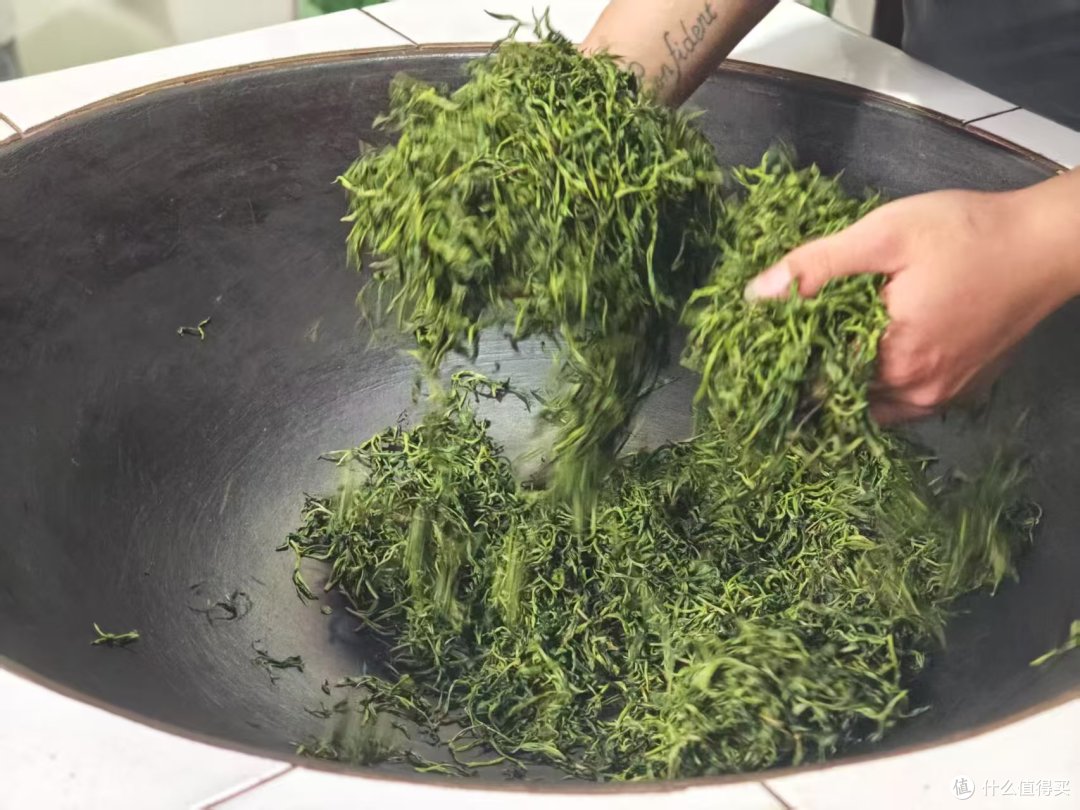 到洞庭山东山岛喝茶;洞庭碧螺春的进一步研究