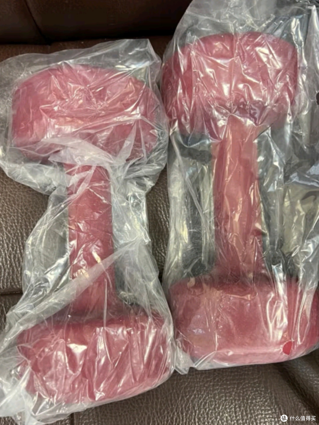 PROIRON普力艾浸塑哑铃:马卡龙绿——为家庭健身注入清新活力