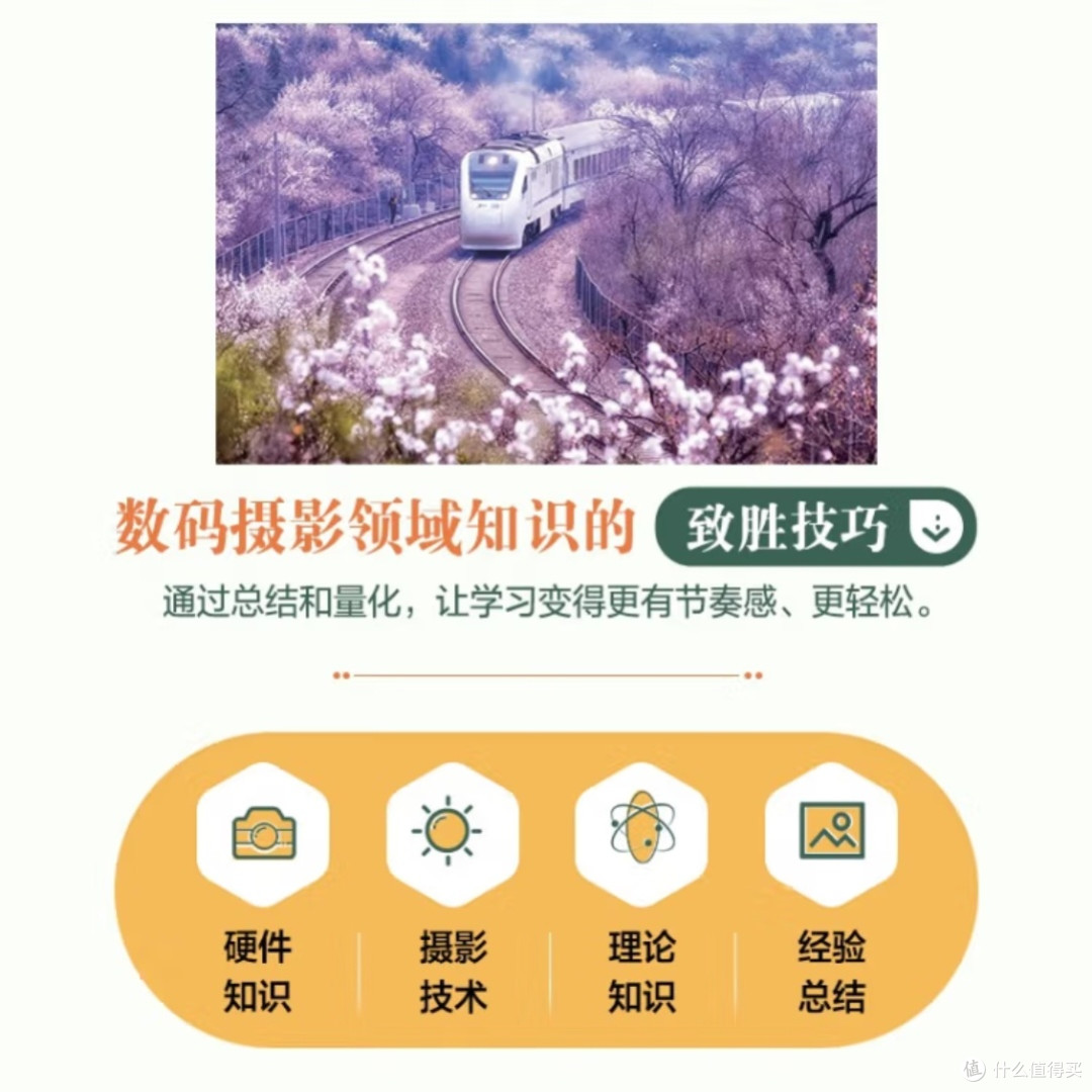 摄影技巧320招全面提升