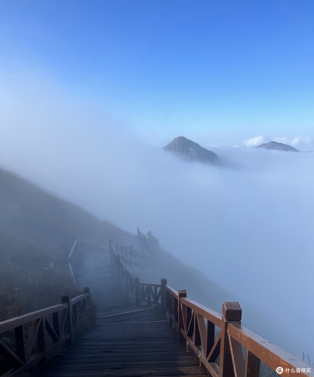 告别烟熏火燎，电烧烤炉让烧烤更轻松！