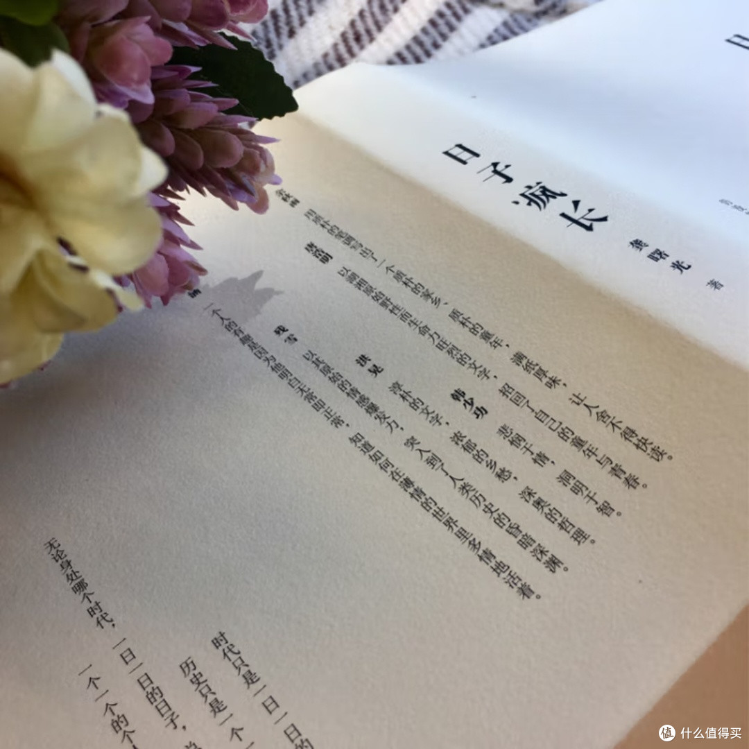 日子疯长:平凡中的力量