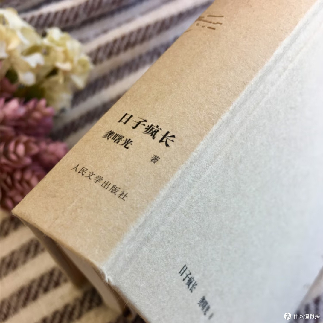 日子疯长:平凡中的力量