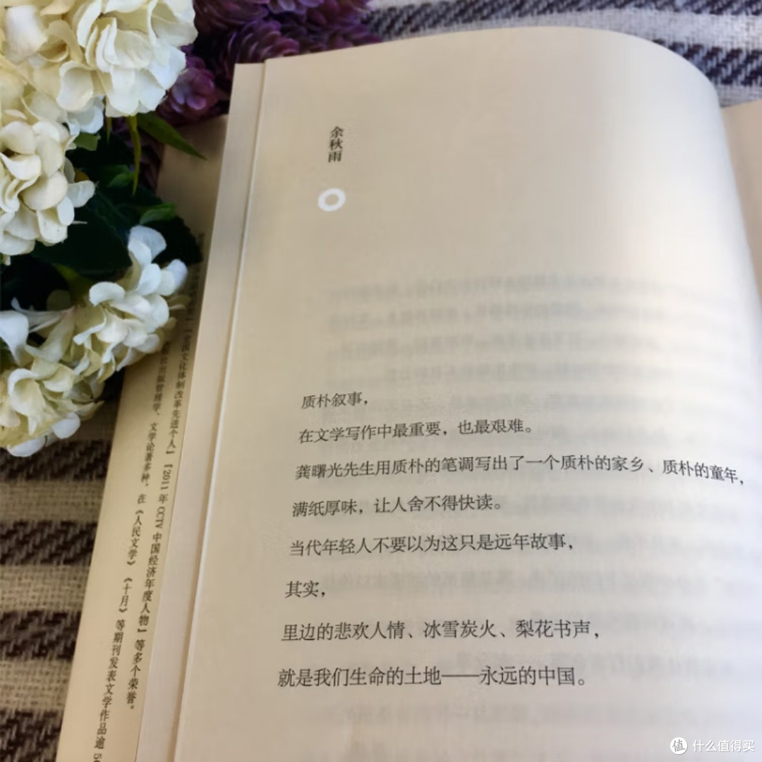 日子疯长:平凡中的力量