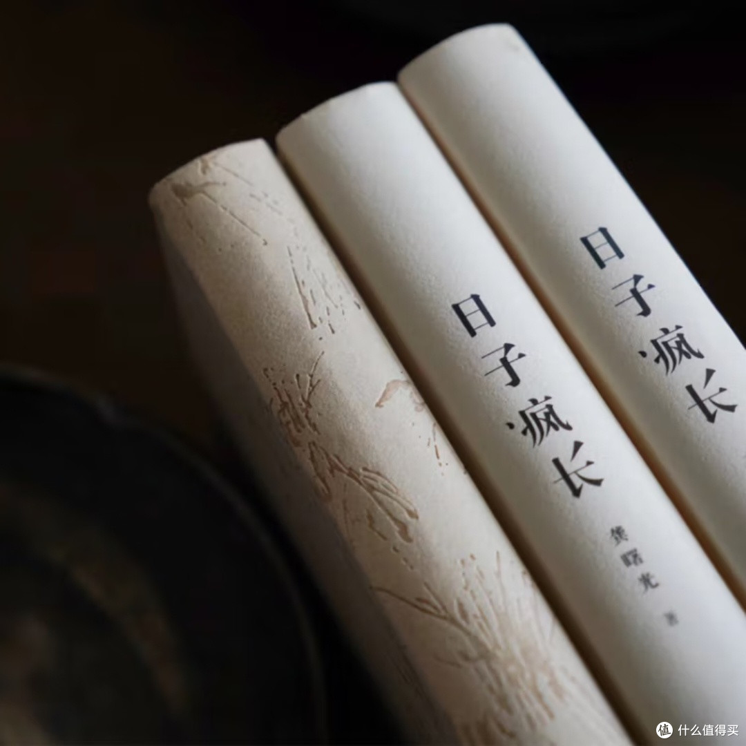 日子疯长:平凡中的力量