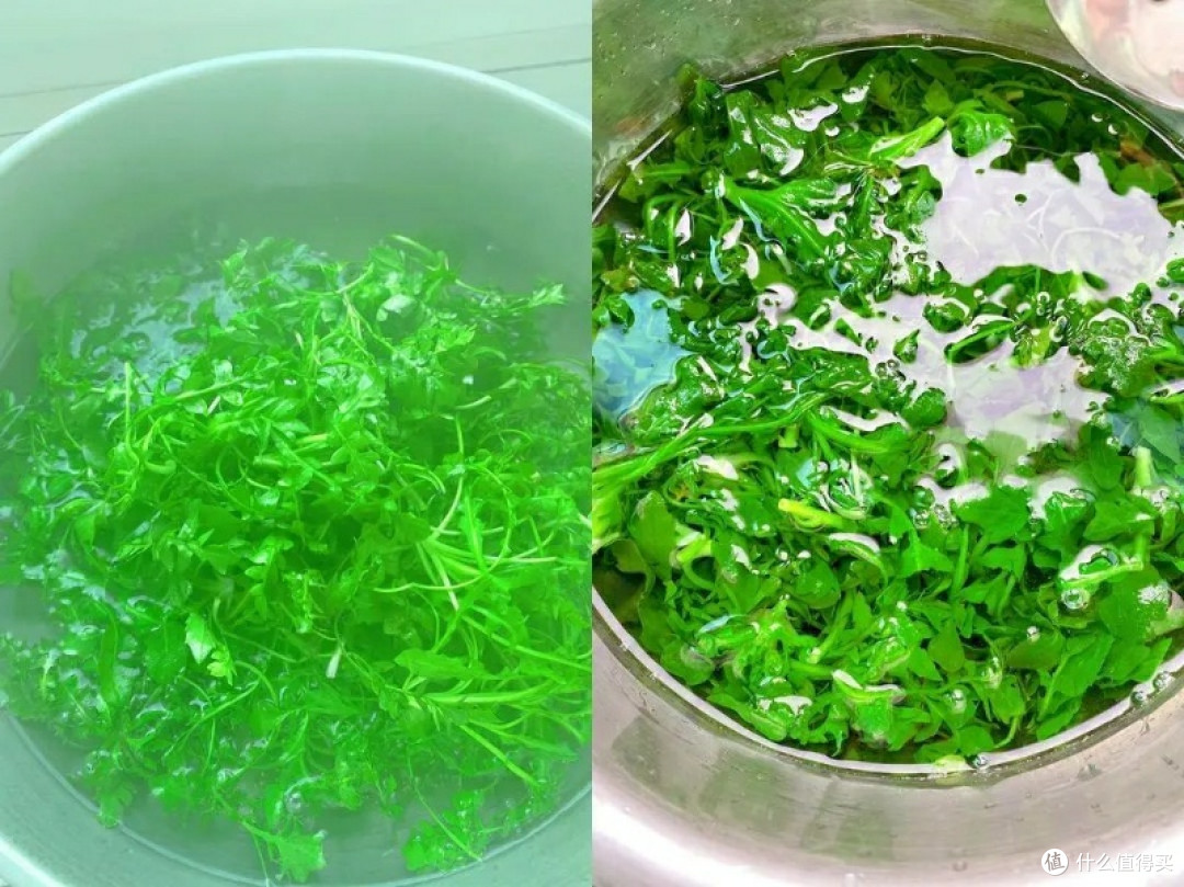 一碗荠菜豆腐羹,喝进整个春天