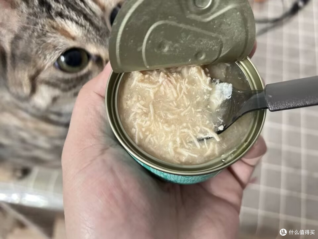 主食罐头哪个牌子好吃?全价的主食罐头营养罐头这样选