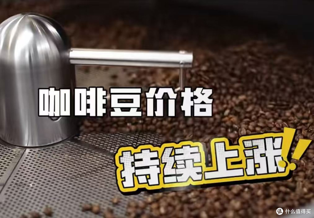 咖啡豆价格创新高,中小品牌承压