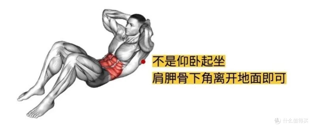 改造计划从家开始:10个徒手力量训练动作,撸铁不一定要去健身房