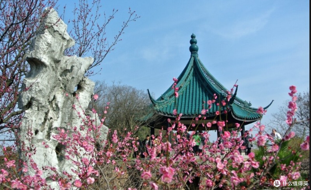 五一赏花好去处，无锡欢迎您