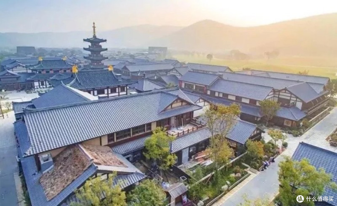 五一赏花好去处，无锡欢迎您