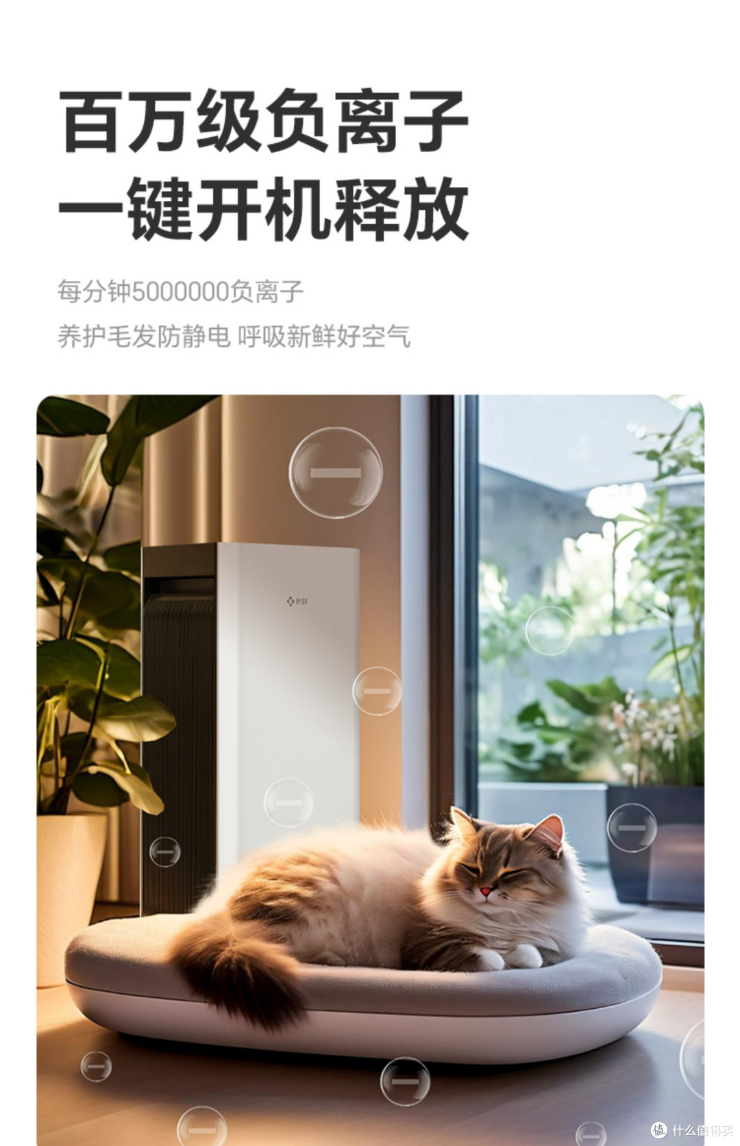 抵御沙尘侵袭,新颐小白 3.0 守护室内清新天地