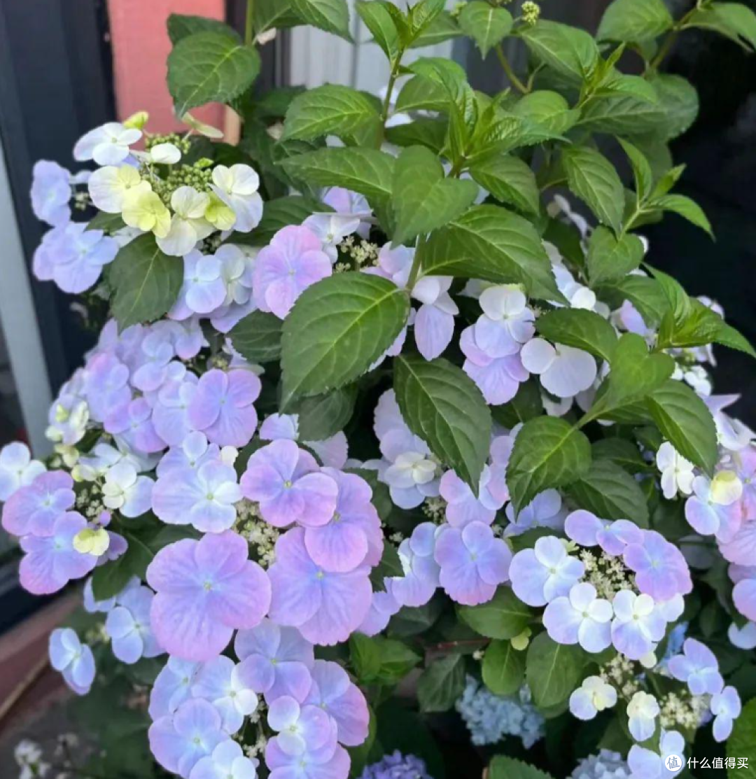 image-20250416210928567