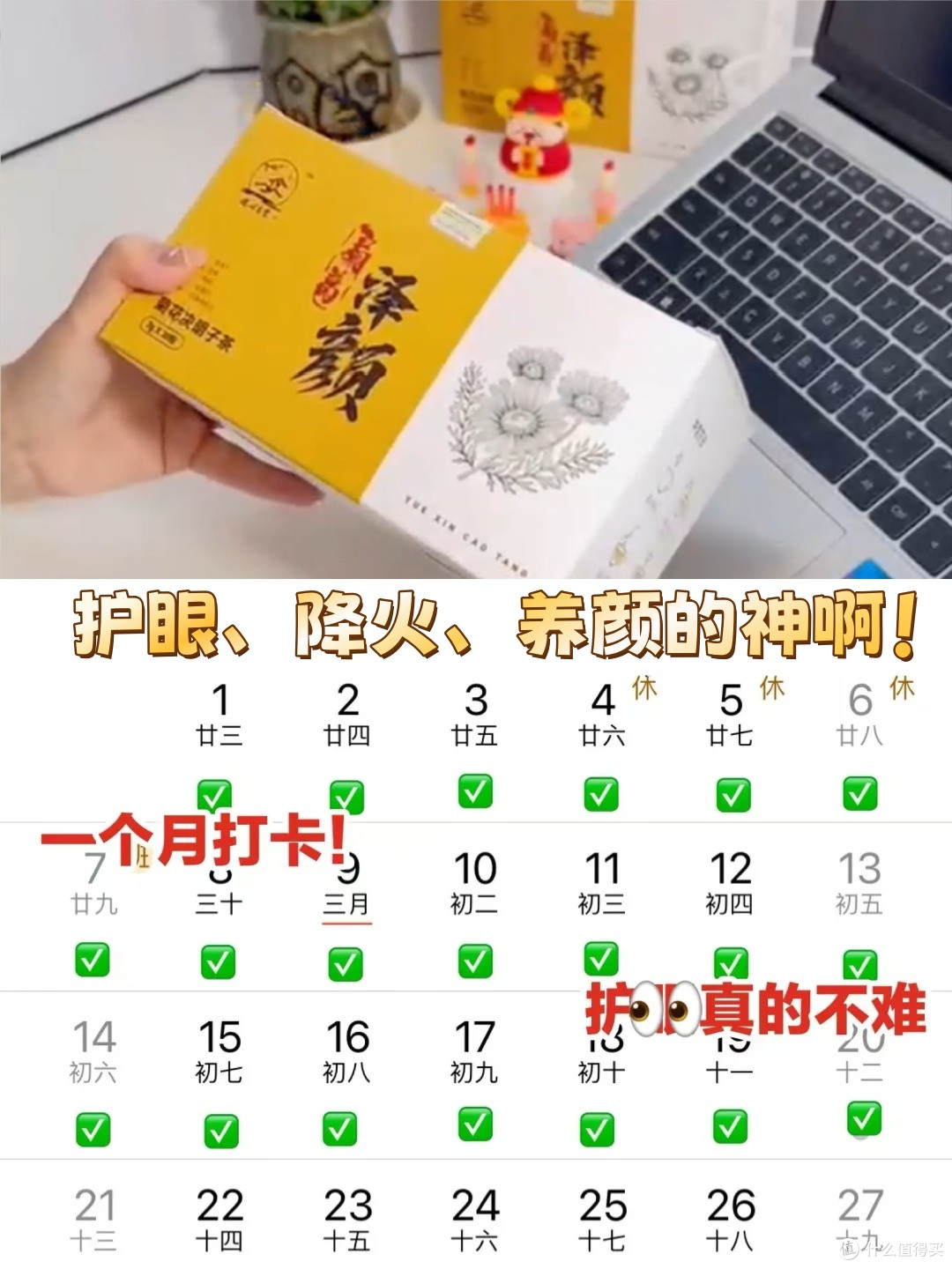 清热去火茶!内调排毒,抗菌消炎!