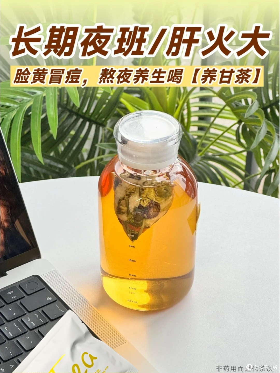 清热去火茶!内调排毒,抗菌消炎!