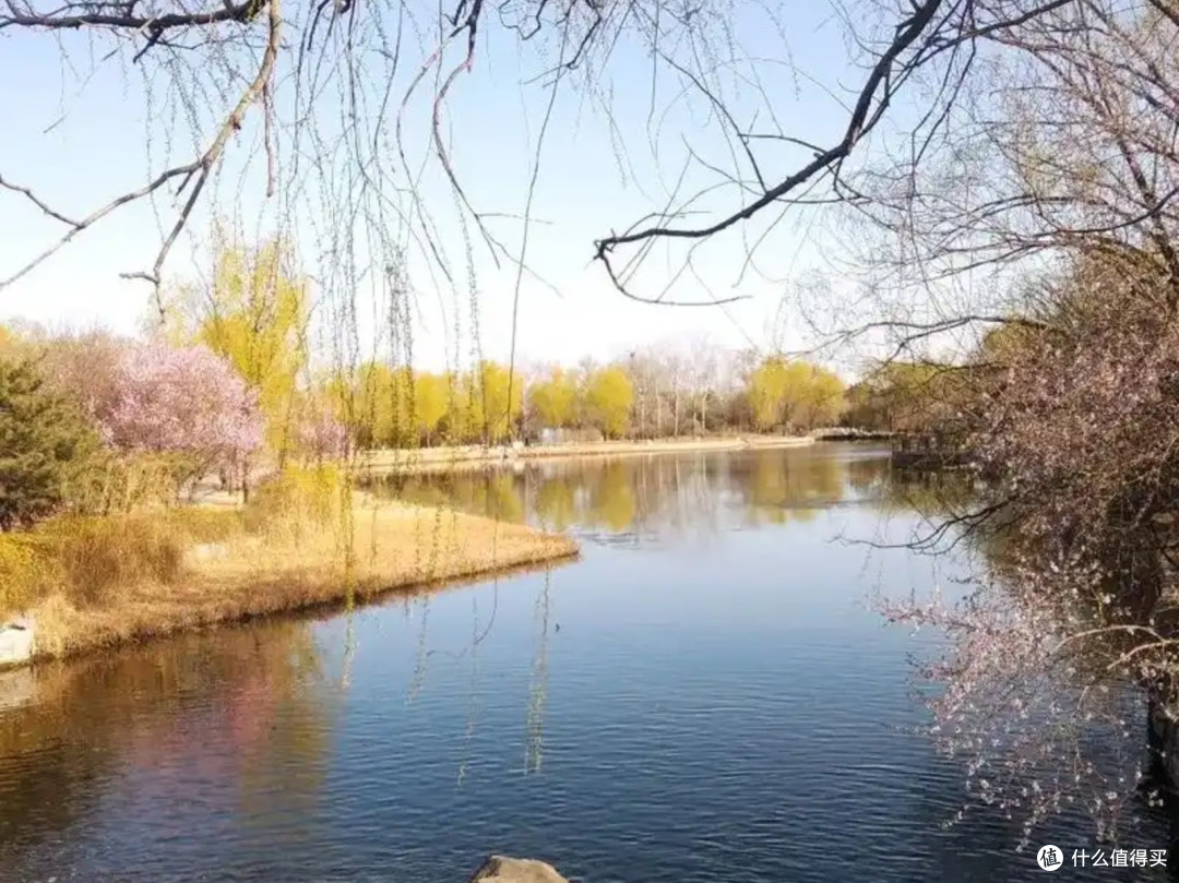 北京植物园:自然与文化的绿色交响