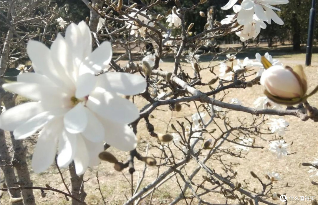 北京植物园:自然与文化的绿色交响