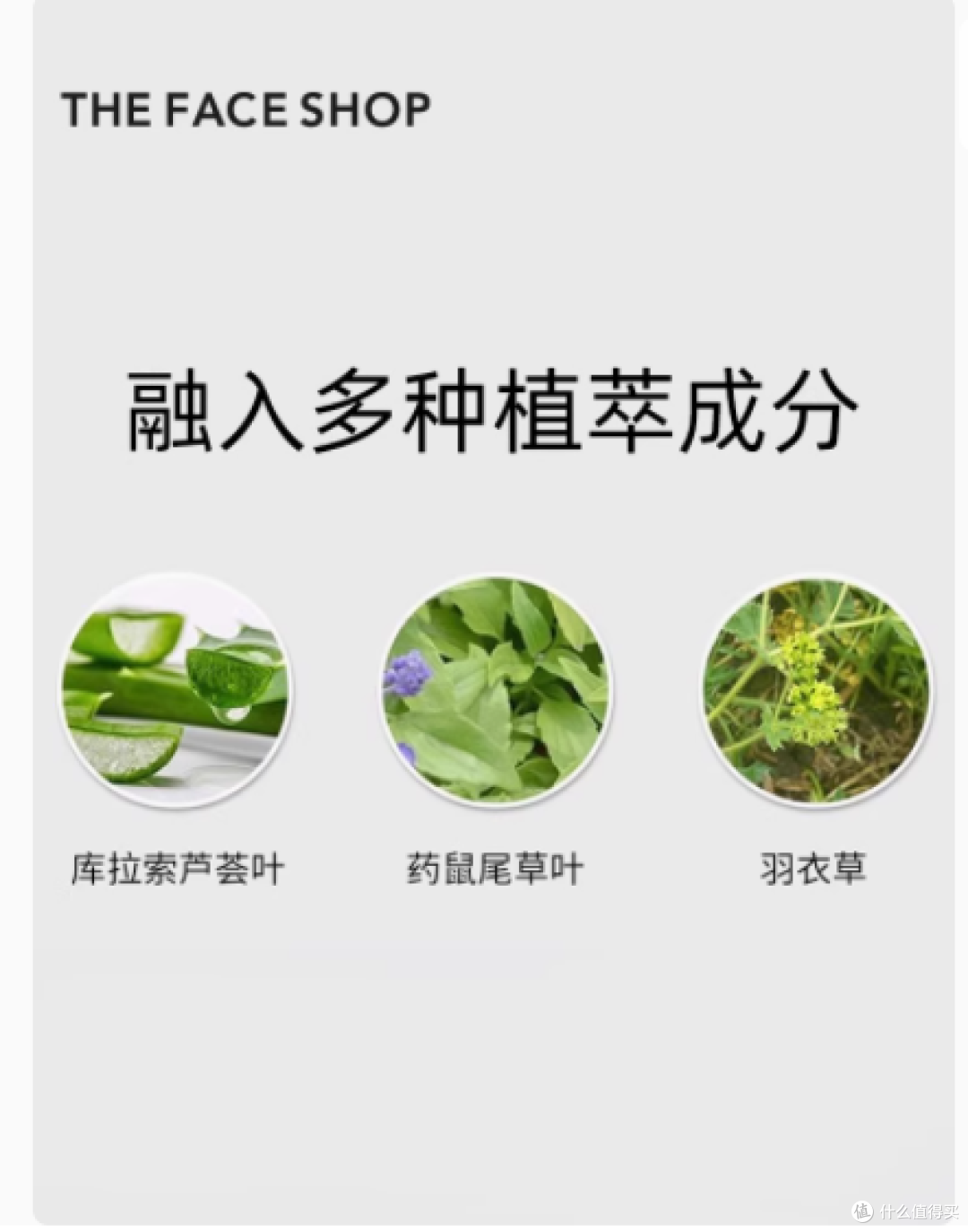 菲诗小铺草本洁面泡沫洗面奶:肌肤的贴心清洁伙伴