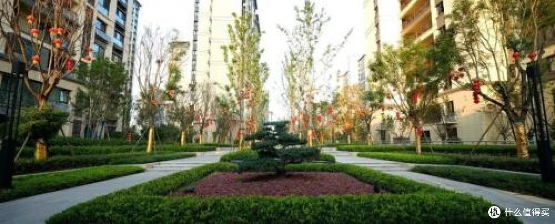 越秀·星汇城 抓住春天的滤镜，国企社区实景出片