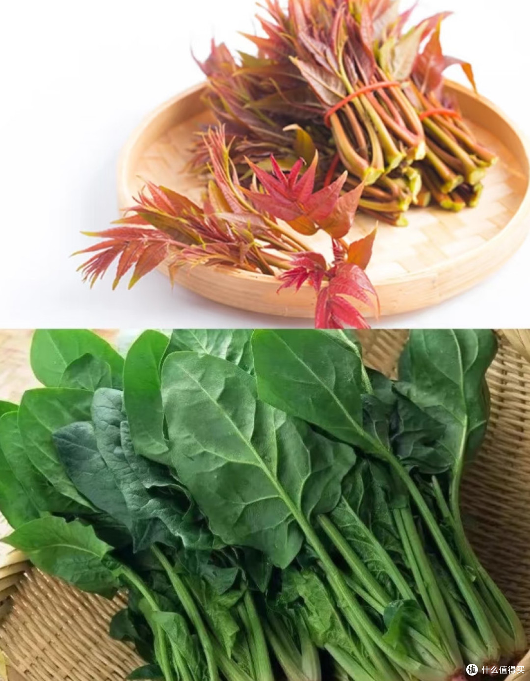 饮食得当能帮我们更好地顺应天时