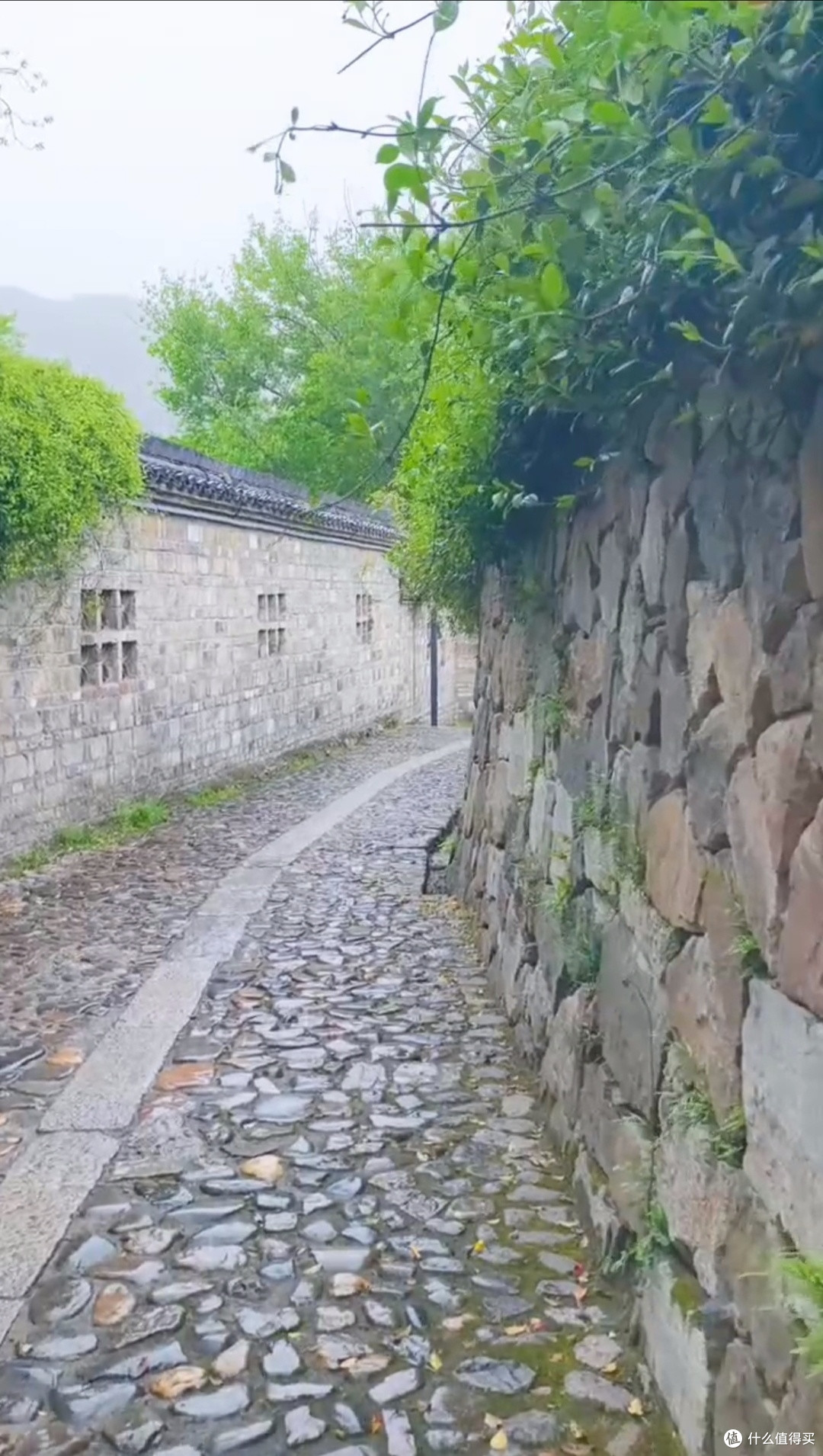 漫步桃花潭,穿越千年诗意