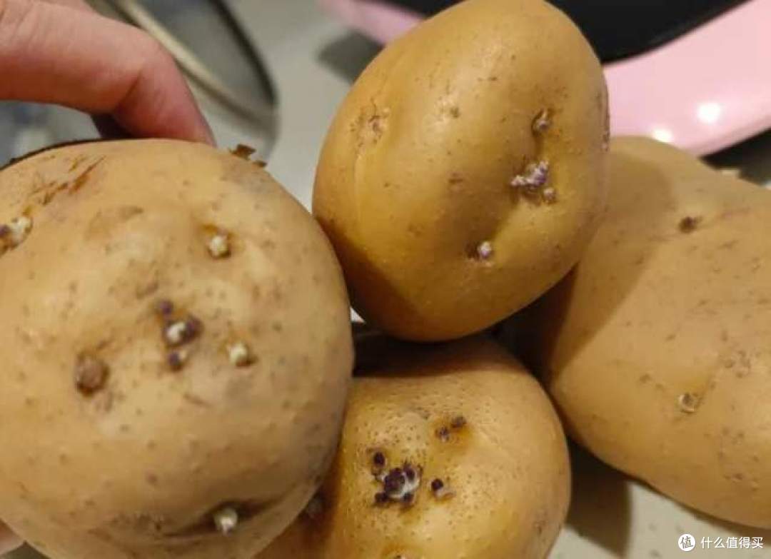 听我一句劝，家里的冰箱不管多大，都别放这4种东西，