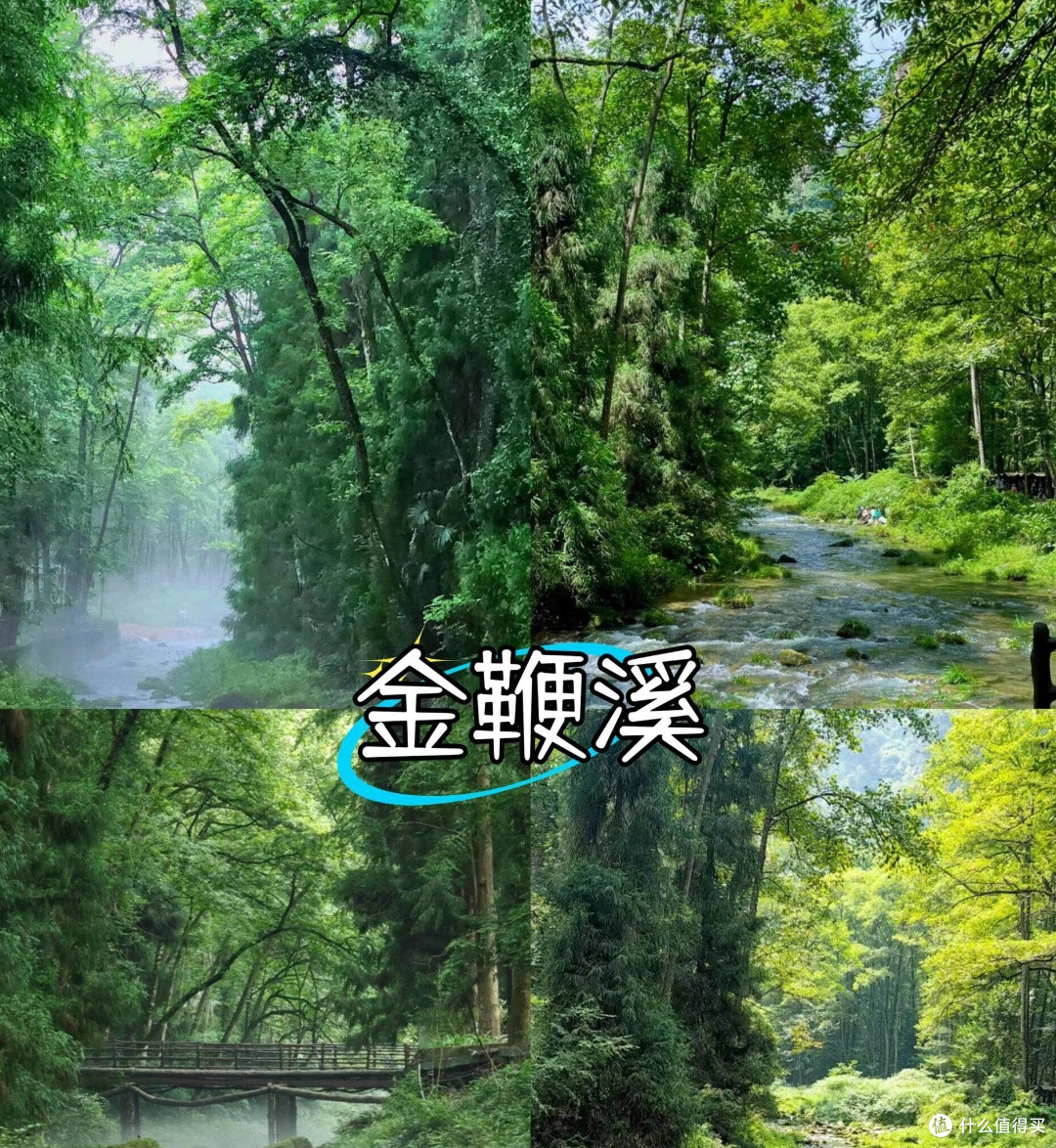 五一张家界：勇敢者的挑战乐园