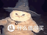 希喂、尾巴生活、小李子猫罐头怎么选?猫主食罐头适口性排名