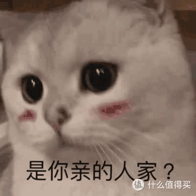 猫罐头怎么选？这三款值得入手！