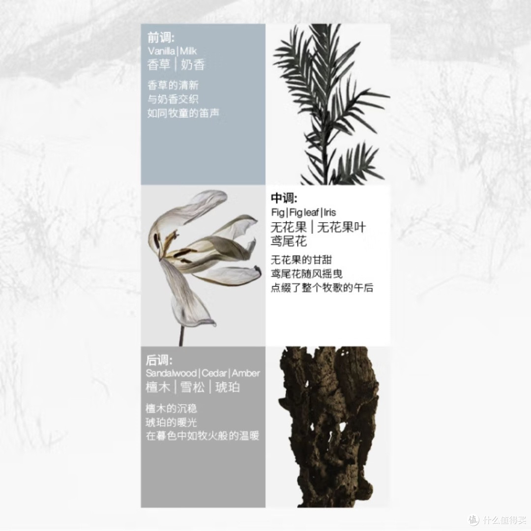 朴致淡香水：远山在牧的独特魅力